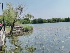 -苏州太湖国家湿地公园