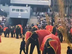 -东芭乐园