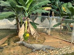 -石家庄市动物园