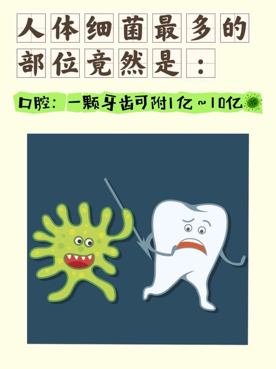 口腔细菌多