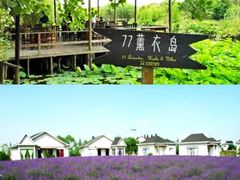 -天明山温泉大酒店