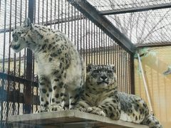 -青藏高原野生动物园