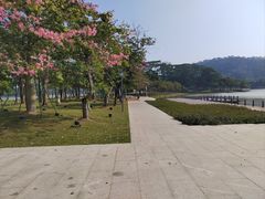 -顺峰山公园