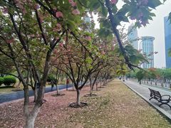 -西北湖绿化广场