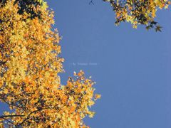 -河南省黄河迎宾馆