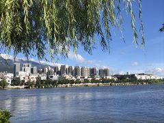 -洱海月湿地公园