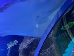 -石家庄海洋公园