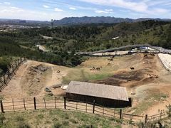 -大青山野生动物园