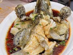 石斑鱼-大勇海鲜(叙康里店)
