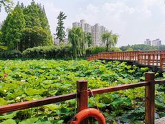 -黄兴公园