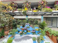 -深圳仙湖植物园