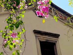 -深圳国际园林花卉博览园