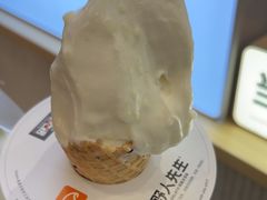 -野人先生现做冰淇淋(西安赛格店)