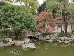 -秋霞圃