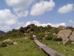 -白草畔自然风景区