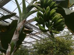 -兰陵国家农业公园