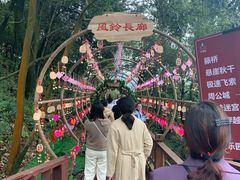 -石燕湖生态旅游景区