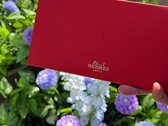 -爱马仕 HERMES(王府井步行街店)