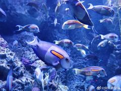 -成都浩海立方海洋公园