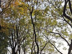 -东湖景区
