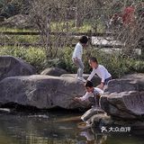 街头随拍｜华山绿地｜闹市区里的街心公园