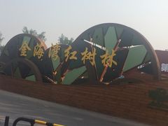 -北海金海湾红树林生态旅游区