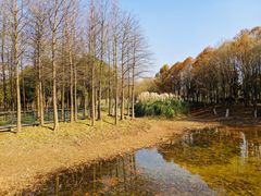 -尚贤河湿地
