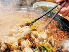 -费明中罗非鱼(大石坝店)