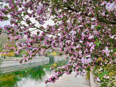 -元大都城垣遗址公园