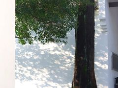 -白鹿洞书院