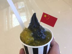 -JW德国冻酸奶Frozen Yogurt(龙湖成都滨江天街店)