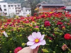 -松州古城