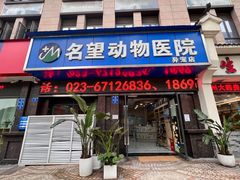 -瑞派名望24h动物医院异宠专科·猫专科·骨科·重症监护分院