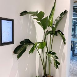 -Dr.U博士医疗美容医院