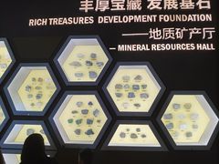 -湖南省地质博物馆