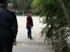 -武侯墓风景区
