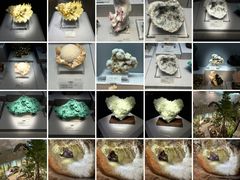 -湖南省地质博物馆