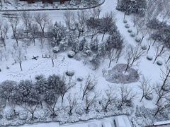 -趵突泉景区