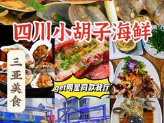 -三亚蜈支洲岛旅游区