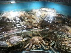 -欧记·龙城港(欣都店)