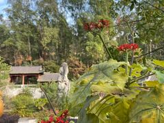 -广州神农草堂中医药博物馆