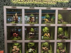 -芸山季·云南山珍菌火锅(南翔印象城MEGA店)