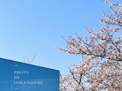 -龙美术馆(西岸馆)