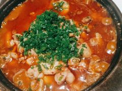 沸腾岩蛙-樽宴酒楼·地道川菜·品质宴请