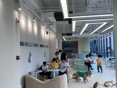 -怪兽屋·羊驼·猫咖·狗咖(俊华广场店)