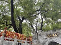 -大槐树寻根祭祖园
