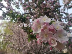 -元大都城垣遗址公园