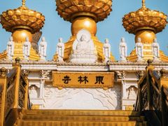 -上海东林寺(金山区)