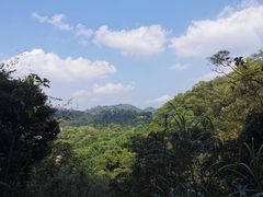 -深圳仙湖植物园