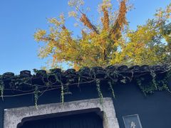 -绍兴鲁迅故里·沈园景区